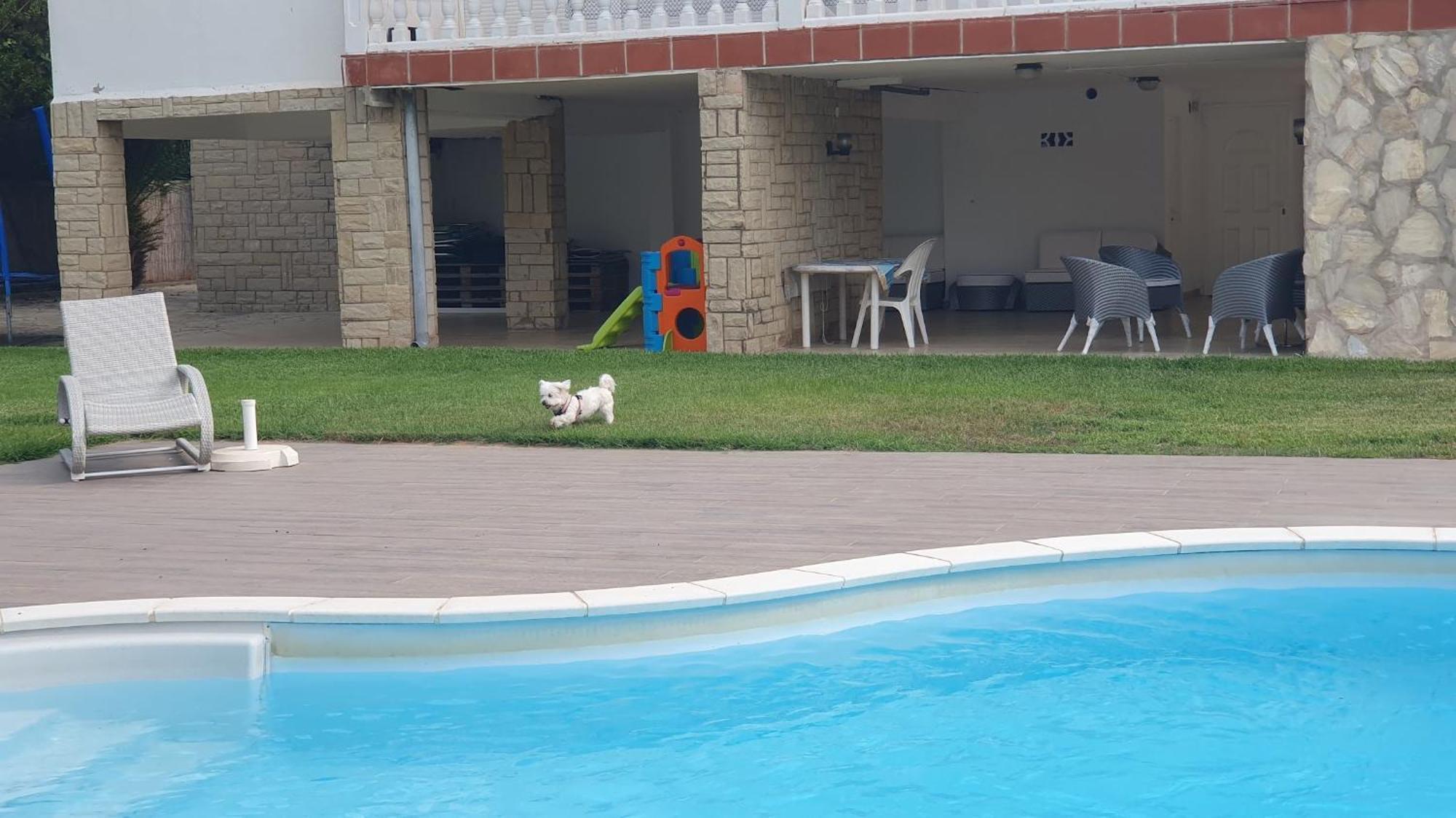 Villa Privada La Pedrereta 萨洛 外观 照片